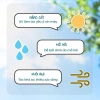 Dầu gội thảo dược Adeva Noni - Giảm gàu, ngừa rụng, tóc bềnh mềm mượt, chỉ 165k 4