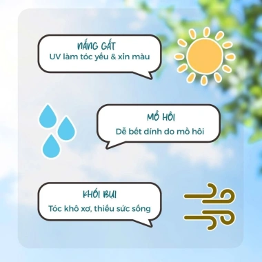Dầu gội thảo dược Adeva Noni - Giảm gàu, ngừa rụng, tóc bềnh mềm mượt, chỉ 165k
