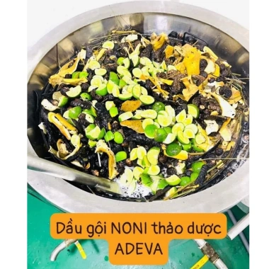 Dầu gội thảo dược Adeva Noni - Giảm gàu, ngừa rụng, tóc bềnh mềm mượt, chỉ 165k