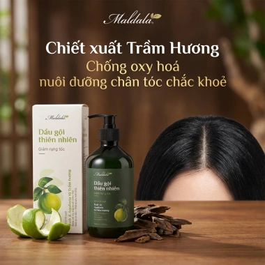 Dầu gội thiên nhiên Maldala giảm rụng tóc 500ml - Bưởi, Trầm hương, Tràm trà, Bồ kết - 285.000₫