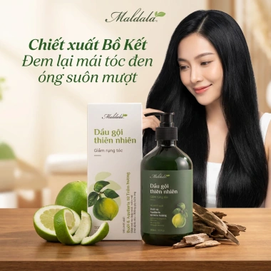 Dầu gội thiên nhiên Maldala giảm rụng tóc 500ml - Bưởi, Trầm hương, Tràm trà, Bồ kết - 285.000₫