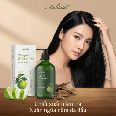 Dầu gội thiên nhiên Maldala giảm rụng tóc 500ml - Bưởi, Trầm hương, Tràm trà, Bồ kết - 285.000₫ 8 Dầu gội thiên nhiên Maldala giảm rụng tóc 500ml - Bưởi, Trầm hương, Tràm trà, Bồ kết - 285.000₫ 8