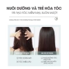 Dầu Gội Xả BERDYWINS Argan Oil 1.000ml - Dưỡng ẩm, Phục hồi tóc khô xơ, Kích thích mọc tóc, Giá chỉ 270.000đ 6