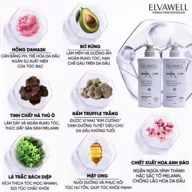 Dầu gội xả Elvawell 500ml-1.000ml giảm rụng tóc, gàu, phục hồi tóc hư tổn - Giá 295.000 VND