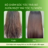 Dầu gội xả Keratin Trái Bơ Cỏ Mềm - Phục hồi tóc hư tổn, tóc mềm mượt, còn 555k 4