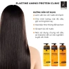 Dầu gội xả Protein Hàn Quốc Clinic 855ml - Mọc tóc dày tóc Elastine Amino, giảm giá chỉ 234.000₫ 6