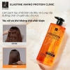 Dầu gội xả Protein Hàn Quốc Clinic 855ml - Mọc tóc dày tóc Elastine Amino, giảm giá chỉ 234.000₫ 8