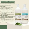 Dầu Gội Xả Stillonps 1.000ml Kiềm Dầu Gàu Nấm, Phục Hồi Tóc Hư Tổn Siêu Mượt 180.000 VND 2