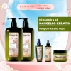 Dầu gội, xả, tinh dầu, dầu hấp Dangello Keratin 60/800ml - Phục hồi tóc hư tổn, giảm gãy rụng, 20k