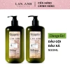 Dầu gội, xả, tinh dầu, dầu hấp Dangello Keratin 60/800ml - Phục hồi tóc hư tổn, giảm gãy rụng, 20k 10