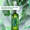 Dầu gội Yves Rocher Anti-Hair Loss 300ml - Giảm tóc gãy rụng, White Lupin tăng cường, giá ưu đãi 342.000₫ 8