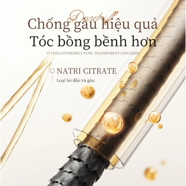 Dầu gội ZXT ngăn rụng tóc, chống gàu, kiểm soát dầu, tóc bồng bềnh - Giảm còn 229.000₫ 7 Dầu gội ZXT ngăn rụng tóc, chống gàu, kiểm soát dầu, tóc bồng bềnh - Giảm còn 229.000₫ 7