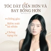 Dầu gội ZXT ngăn rụng tóc, chống gàu, kiểm soát dầu, tóc bồng bềnh - Giảm còn 229.000₫ 8