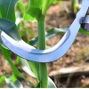 Đầu liềm cong đa năng cắt cành cao, phát cỏ, cắt cau, chặt chuối - Giá 40.810₫ 7