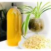 Dầu MACCA Daklak ép thủ công 500ml – Dưỡng ẩm sâu, giảm giá 40.000đ, chất lượng thiên nhiên