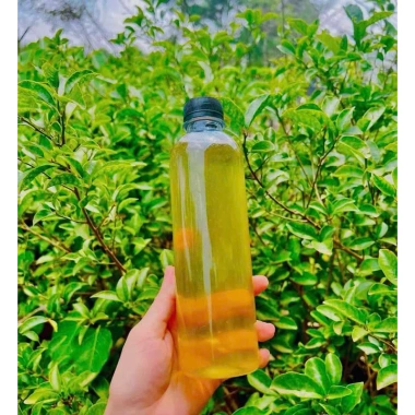 Dầu MACCA Daklak ép thủ công 500ml – Dưỡng ẩm sâu, giảm giá 40.000đ, chất lượng thiên nhiên 2