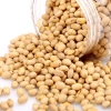Đậu nành sấy 5kg sỉ giá ưu đãi 205.000đ – chất lượng cao, giàu protein, an toàn sức khỏe 2