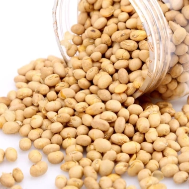 Đậu nành sấy 5kg sỉ giá ưu đãi 205.000đ – chất lượng cao, giàu protein, an toàn sức khỏe