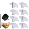 Đầu Ống Máng Ăn Gia Cầm Chống Mưa Nắng Ẩm, Chịu Nhiệt, Đa Dạng - 15k 6