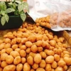 Đậu phộng da cá 500gr vị nước cốt dừa giòn thơm - Ăn vặt ngon, Ship nhanh, Giá 54.000₫ 4