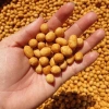 Đậu phộng da cá 500gr vị nước cốt dừa giòn thơm - Ăn vặt ngon, Ship nhanh, Giá 54.000₫ 6
