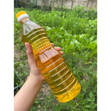 Dầu phộng nguyên chất Hà Tĩnh ép lạnh 1L không chất bảo quản - Giá ưu đãi 135k