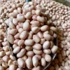 Đậu Phộng Sống (Lạc) 500g - Hạt To Nguyên Chất, Thơm Béo, Dùng Ngay Rang, Nấu Ăn, Làm Bánh - Giá chỉ 30.000 VND