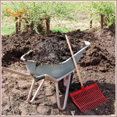 Đầu Pitchfork Nhặt Phân Ngựa Đỏ 2 Cái – Thay Thế Phuộc Phân, Loại Bỏ Chất Thải, Giá 627.000₫ 2 Đầu Pitchfork Nhặt Phân Ngựa Đỏ 2 Cái – Thay Thế Phuộc Phân, Loại Bỏ Chất Thải, Giá 627.000₫ 2