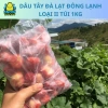 Dâu Tây Đà Lạt Đông Lạnh Giá Rẻ - Tươi Ngon Không Chất Bảo Quản - Giao Hỏa Tốc HCM 33000đ 2