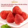 Dâu tây sấy giòn SUNVINA 50g không chất bảo quản, không chiên dầu - Snack DASATA giảm còn 69.000đ 3