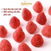 Dâu tây sấy giòn SUNVINA 50g không chất bảo quản, không chiên dầu - Snack DASATA giảm còn 69.000đ 9