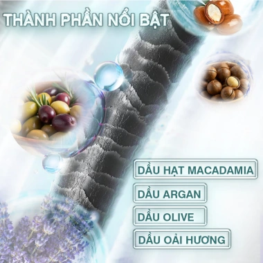 Dầu ủ dưỡng tóc AAH Oil Treatment 100ml – Phục hồi tóc hư nặng sau tẩy, nhuộm, uốn, sấy, giá 285.000₫