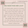 Dầu ủ tóc Xomnhala Rosemary Scalp Hair Growth Oil thiên nhiên, giảm giá 119.000đ 3