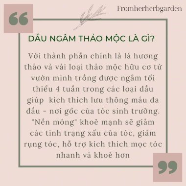 Dầu ủ tóc Xomnhala Rosemary Scalp Hair Growth Oil thiên nhiên, giảm giá 119.000đ