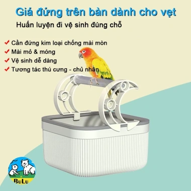 Đậu Vẹt Đặt Bàn Huấn Luyện Đi Vệ Sinh Đúng Chỗ - Thanh Kim Loại Mài Mỏ, Dễ Rửa, Giá 327.701 VND