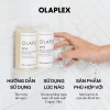 Dầu xả Olaplex No.5 Bond Maintenance 250ml - Phục hồi, tăng cường sức khỏe tóc, giảm giá 18% 6