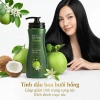Dầu xả thiên nhiên Tadavina 500ml - Chiết xuất hoa bưởi hồng & dầu dừa, tóc óng mượt, mềm mại, ngừa gãy rụng - 285k 7