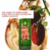 Dầu xả thiên nhiên Yves Rocher không silicone 200ml - Mềm mượt, nuôi dưỡng, chỉ 313.000₫ 6