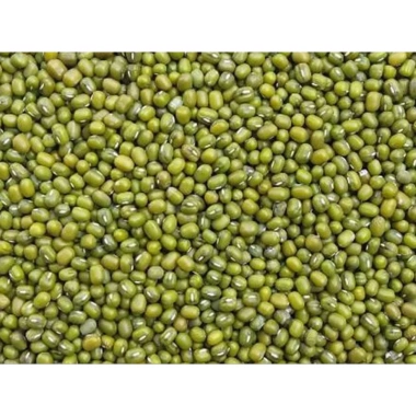 Đậu xanh 500g trồng giá đỗ hạt to mập, tỷ lệ nẩy mầm cao - Giá 15.000đ Đậu xanh 500g trồng giá đỗ hạt to mập, tỷ lệ nẩy mầm cao - Giá 15.000đ