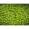 Đậu xanh 500g trồng giá đỗ hạt to mập, tỷ lệ nẩy mầm cao - Giá 15.000đ 2