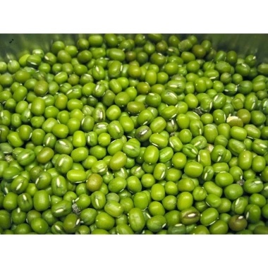 Đậu xanh 500g trồng giá đỗ hạt to mập, tỷ lệ nẩy mầm cao - Giá 15.000đ