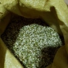 Đậu xanh cà chồn vỏ 500g thơm ngon – Nguyên liệu nấu chè, giá ưu đãi 20.000₫ 2