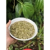 Đậu xanh cà chồn vỏ 500g thơm ngon – Nguyên liệu nấu chè, giá ưu đãi 20.000₫ 9