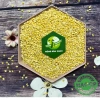 Đậu xanh cà tách vỏ Nông Sản Xanh 500g - Dinh dưỡng cao, ngon chè xôi, giá 45.000 2