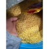 Đậu xanh cà vỏ 1KG – Đỗ xanh vỡ đôi bóc vỏ loại 1, thực phẩm sạch, đảm bảo chất lượng, giá ưu đãi 65.000₫ 4