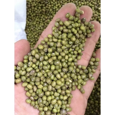 Đậu xanh hạt 500g - Đỗ xanh nấu chè béo dẻo, giá rẻ 35.000đ, giảm so với 44.800đ