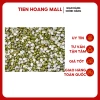Đậu Xanh Nấu Xôi Chè - Cà Nửa Hạt Còn Vỏ Thuần Chủng, Giá chỉ 18.000 VND 2