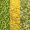 Đậu xanh tách vỏ giàu protein, giảm cân, giá chỉ 18.000đ - Siêu ưu đãi 4