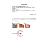Dầu Xoa Bóp Đau Nhức Xương Khớp HONGKONG 50ml - Giảm Đau Cổ Vai Gáy Nhanh 9