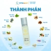Dầu Xoa Thảo Dược Cửa Sổ Vàng 10ml - Giảm Tê Mỏi, Đau Đầu, Chóng Mặt, Buồn Nôn - 85.000₫ SYNAMART 2